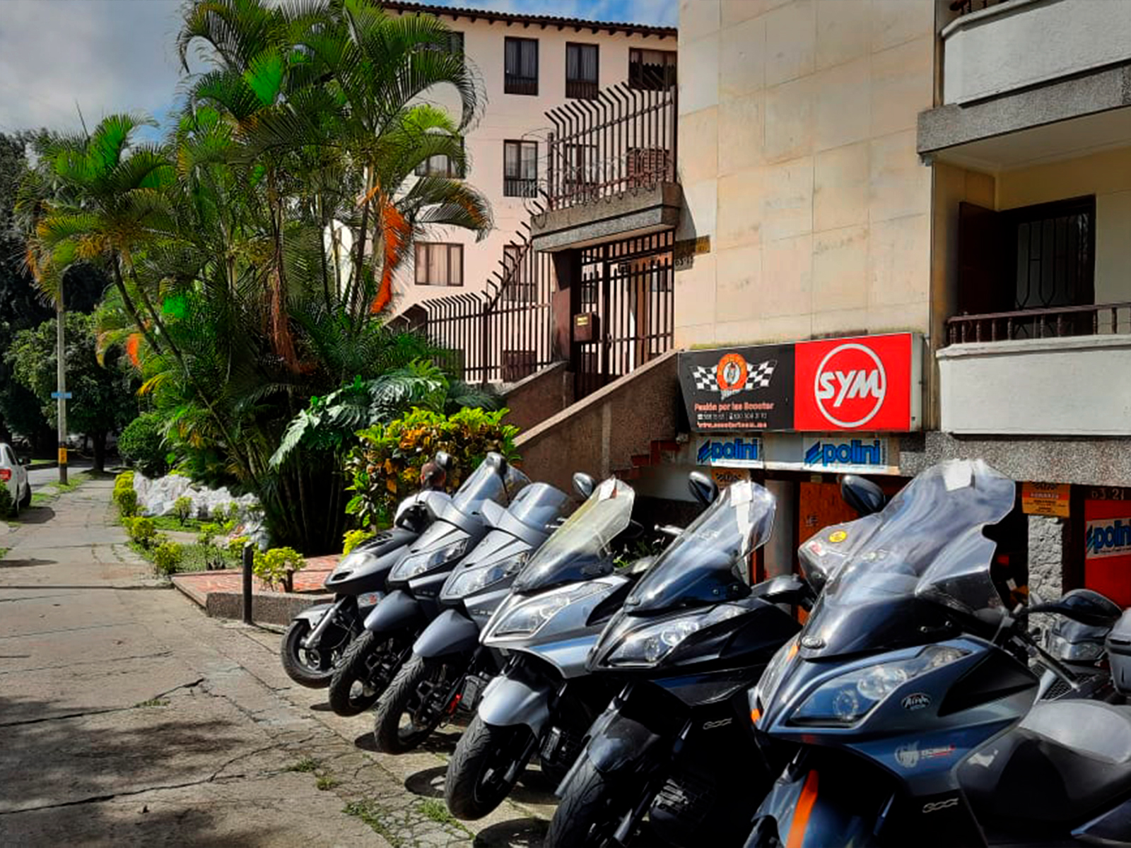 antiguo Fatal Mandíbula de la muerte SCOOTER TEAM | Sym Colombia | Dealer Motocicletas